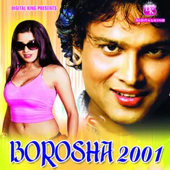 Borosha 2001
